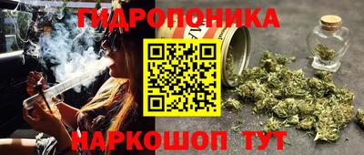 молекула духа Уссурийск